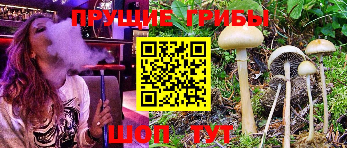Галлюциногенные грибы Cubensis  Вход с VPN  как найти закладки  Владимир 