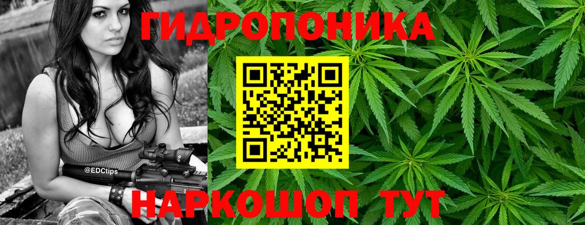 Шишки марихуана White Widow Владимир
